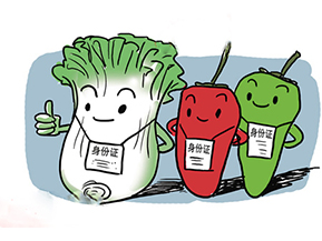 食品追溯系統帶來的優勢有哪些？